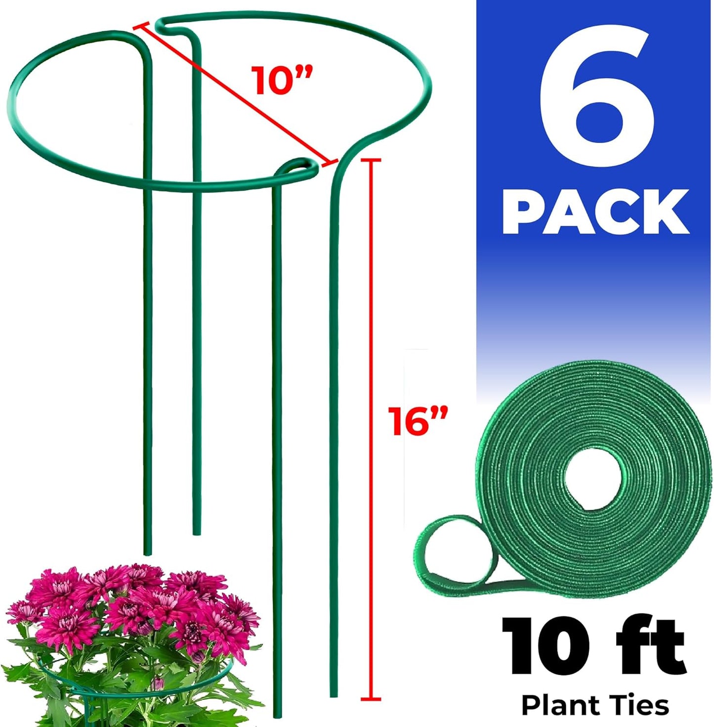 Tall Plant Support Stakes for Indoor and Outdoor - Peony Cages and Supports - Plant Cage Ring for Potted Flower - Peony, Tomato, Hydrangea, Rose Bush 10" W x 16" H (6 Pack)