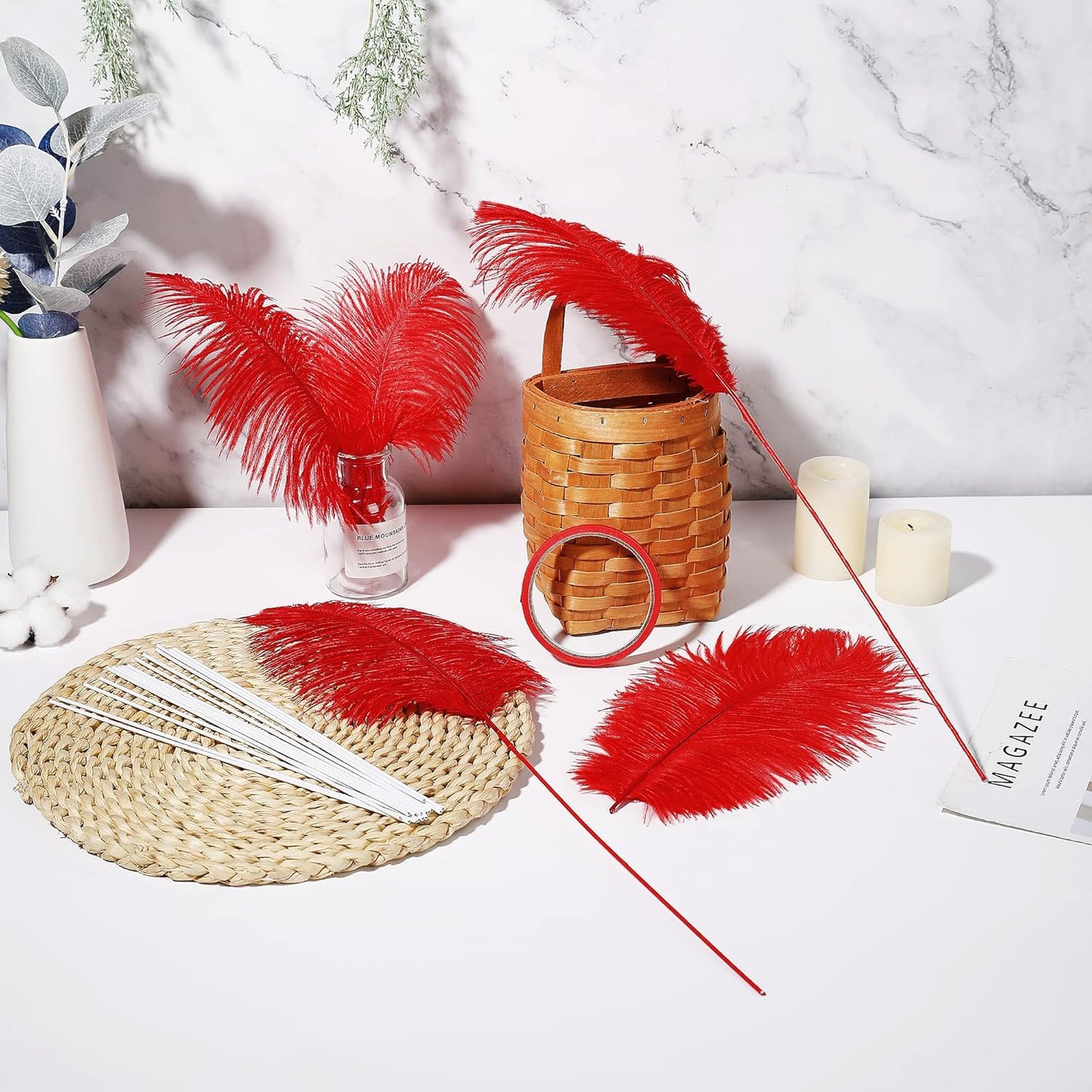 Holmgren Red Ostrich Feathers for Vase - 20pcs Making Kit 22 Inch Long Ostrich Feathers for Vase, Floral Arrangement, Wedding Party Centerpieces Home Decorations (Red)