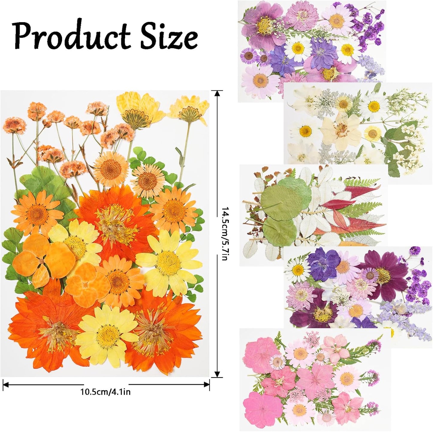 120Pcs Dried Pressed Flowers for Resin Mould Dry Flower Real Leaves Bulk with Tweezers Natural Herbs Kit for Scrapbooking DIY Art Crafts Candle Jewelry Making Nails Floral Decoration (Delicate Color)