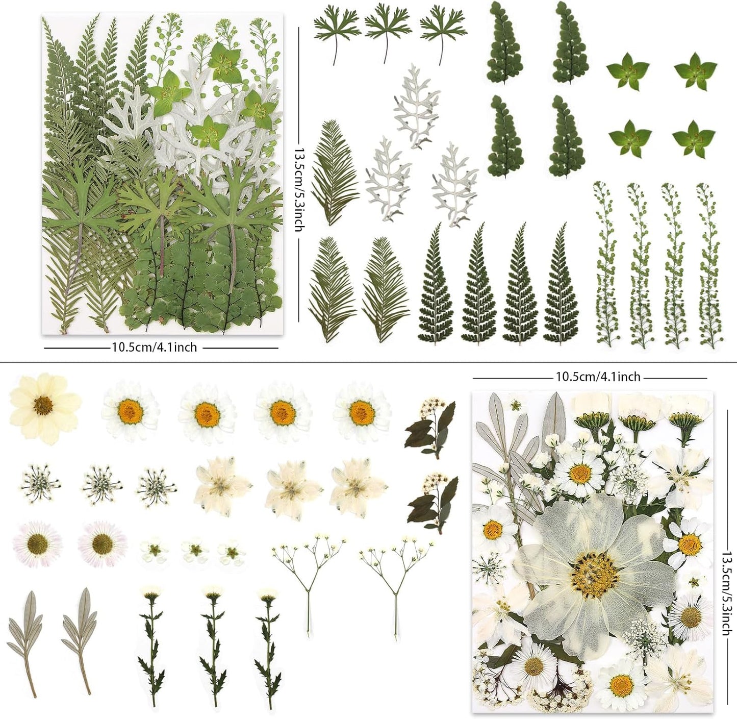 100P White Foliage & Flower Mix Dried Flowers for Crafts, Real Natural Pressed Flowers for DIY Crafts, Resin Jewelry, Candle Art & Scrapbooking Crafts – Tweezers Included