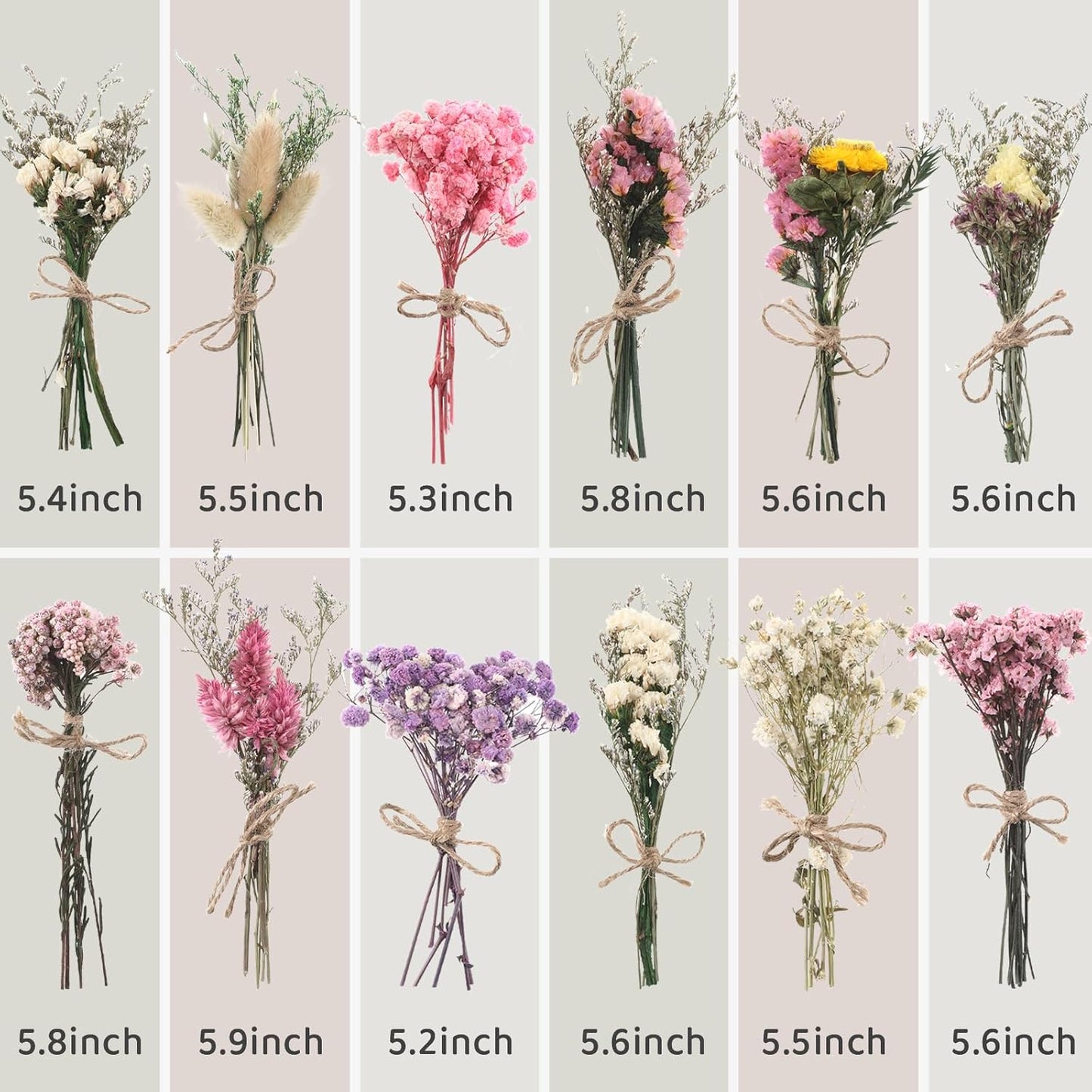 10/12/24/36 Pack Mini Dried Flowers for Vase Wedding Various Mini Bouquet Dried Small Wildflowers Natural Flowers Bulk for Crafts DIY Decor (12, Multicolor)