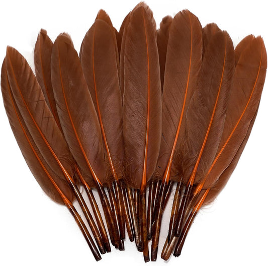 FeelfunFeather 120pcs Coffee Brown Goose Cochettes Feather Natural Bulk 4-6 inch 10-15cm for Wedding Party Christmas Decorations DIY Crafts Goose Cochettes Feather