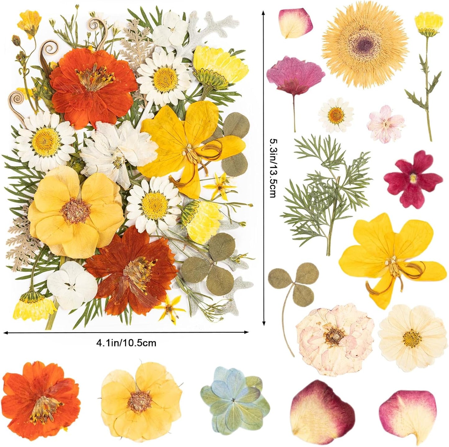 140pcs Dried Pressed Flowers Bulk, Natural Fall Pressed Dried Flowers with Tweezer for DIY Crafts Resin Mold Candles Cake Bridal Scrapbooking Supplies