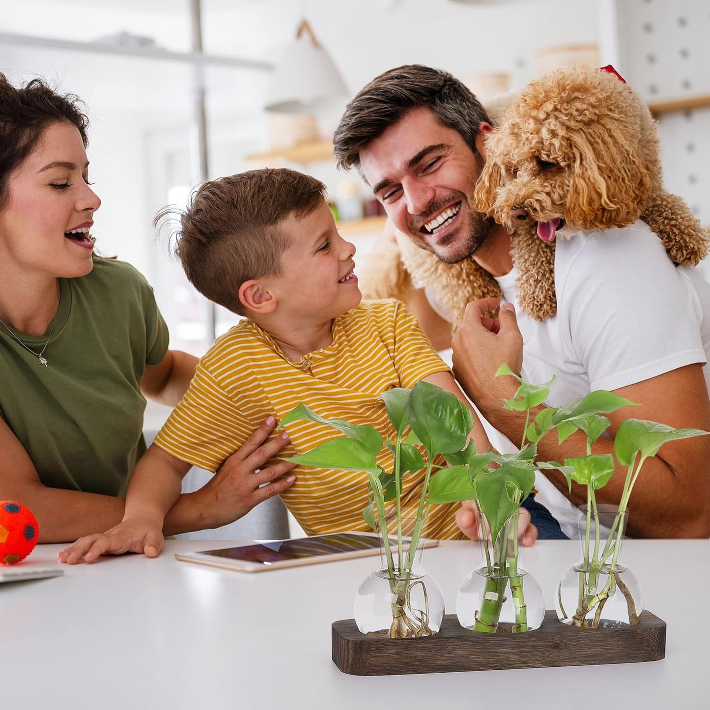 YIBOT Propagation Stations,Plant Propagation Vase,Desk Plant Terrarium with Retro Wooden Stand,Plant Lover Gifts for Women for Hydroponics Plants Home Garden Wedding Decor(3 Vase)