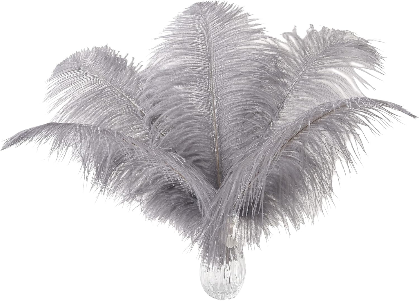 Ballinger Natural Gray Ostrich Feathers - 24pcs 10-12inch for Wedding Party Centerpieces Home Decor