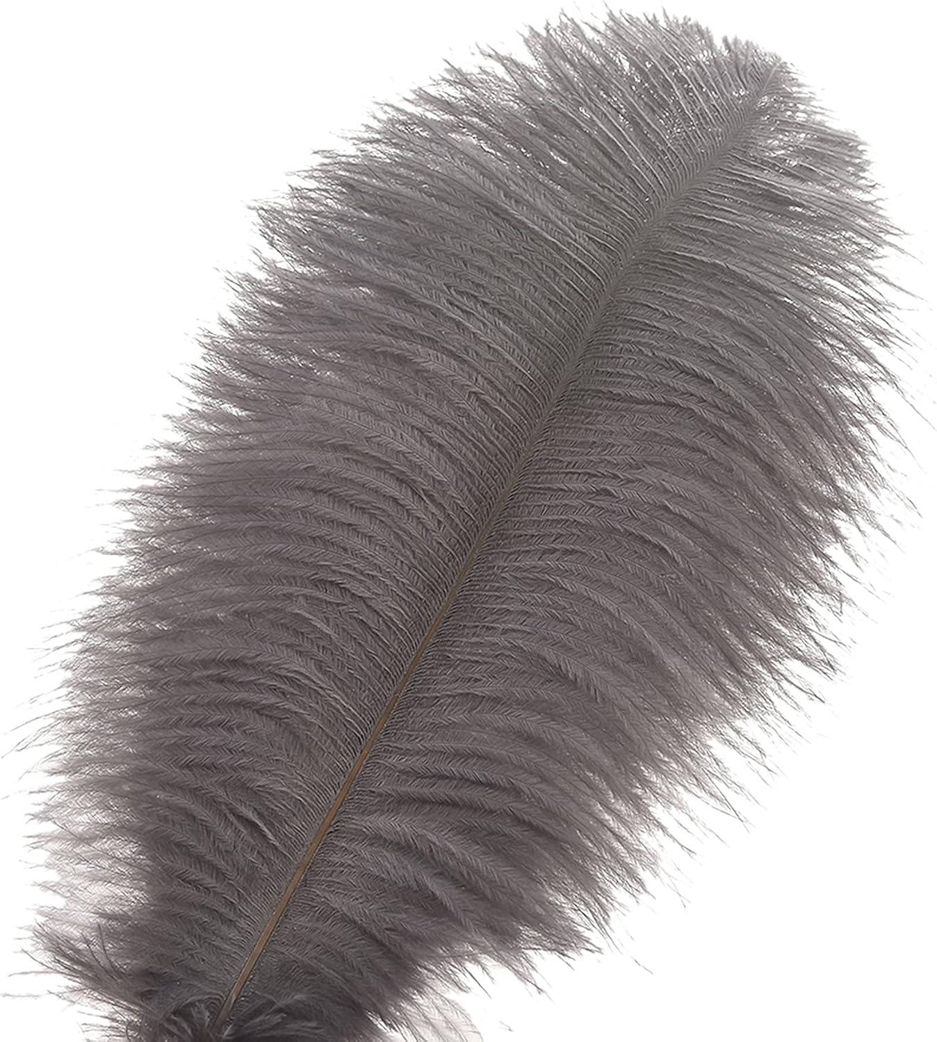 Ballinger Natural Gray Ostrich Feathers - 24pcs 12-14inch Big Feathers for Wedding Party Centerpieces Home Decor