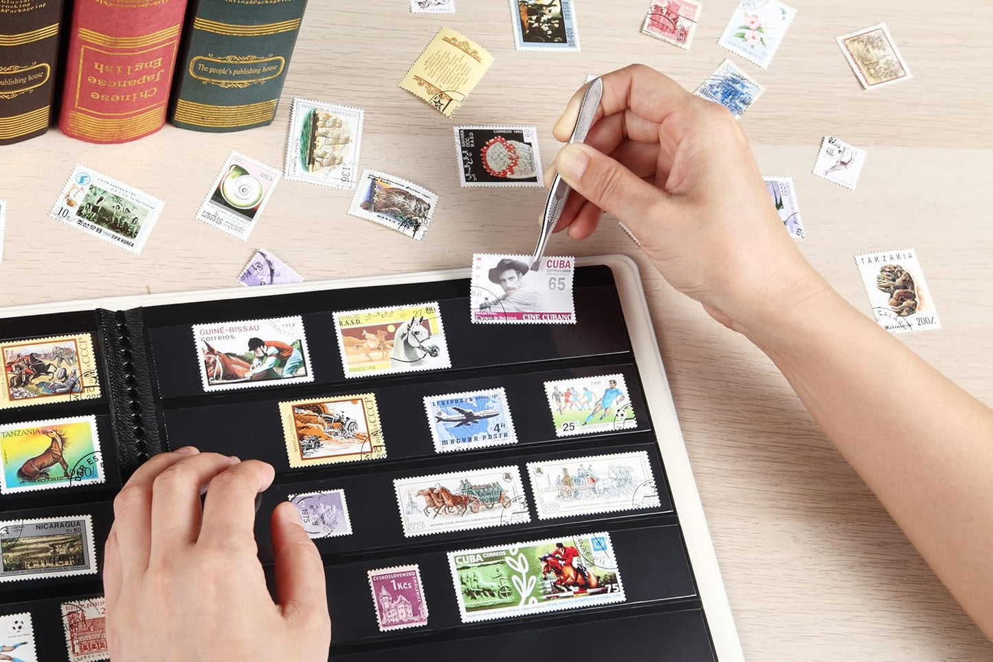 MUDOR Stamp Collecting Album, 7 Rows Pockets Stamp Book for Collectors, 10 Sheets Stamp Stockbook