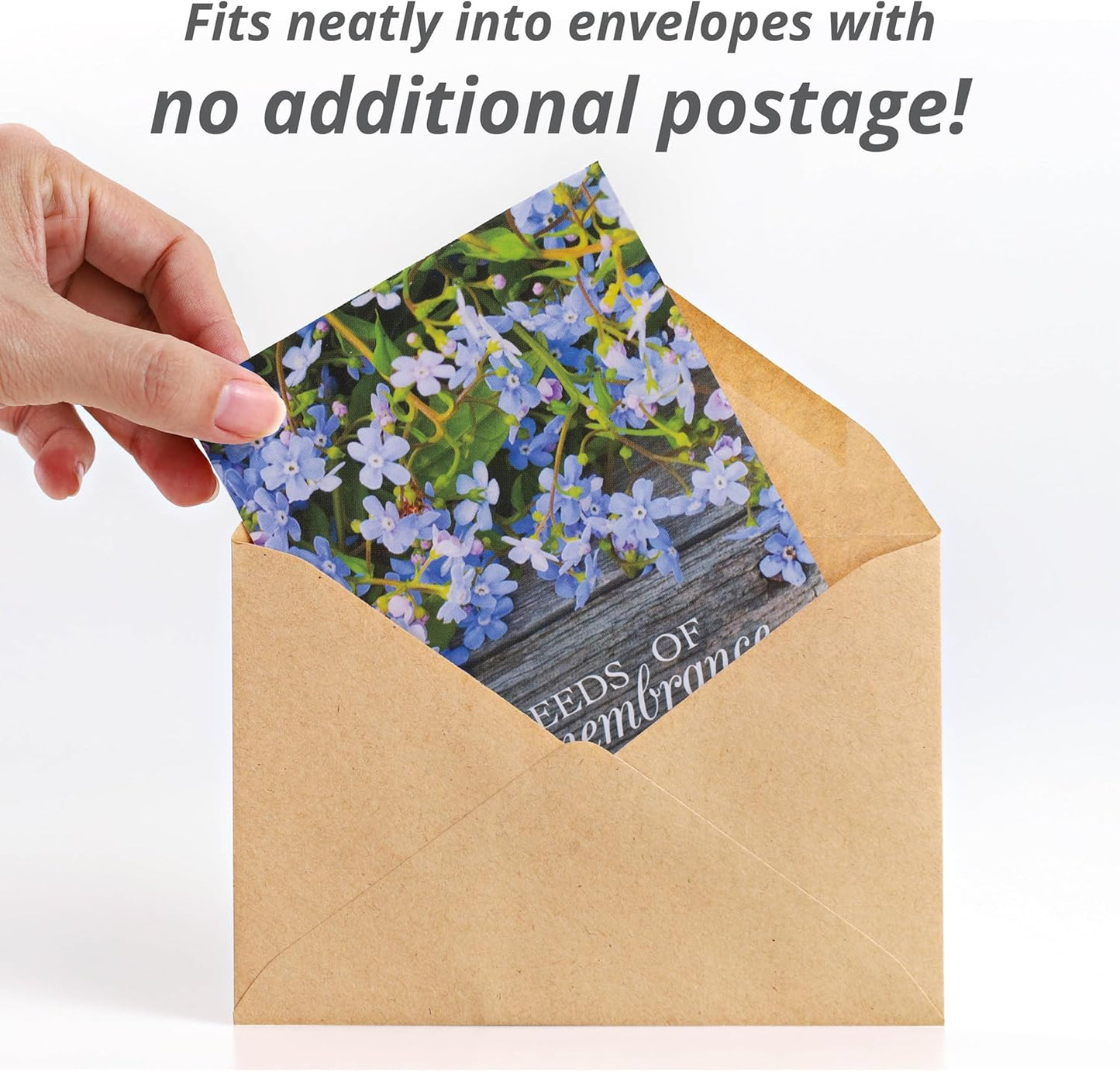 Bentley Seed Co. | Seeds of Remembrance | Pre Filled Non-GMO, Non-Coated Forget Me Not Seeds Packets | Perfect Memorial Service Giveaways and Celebration of Life Decorations | Pack of 25