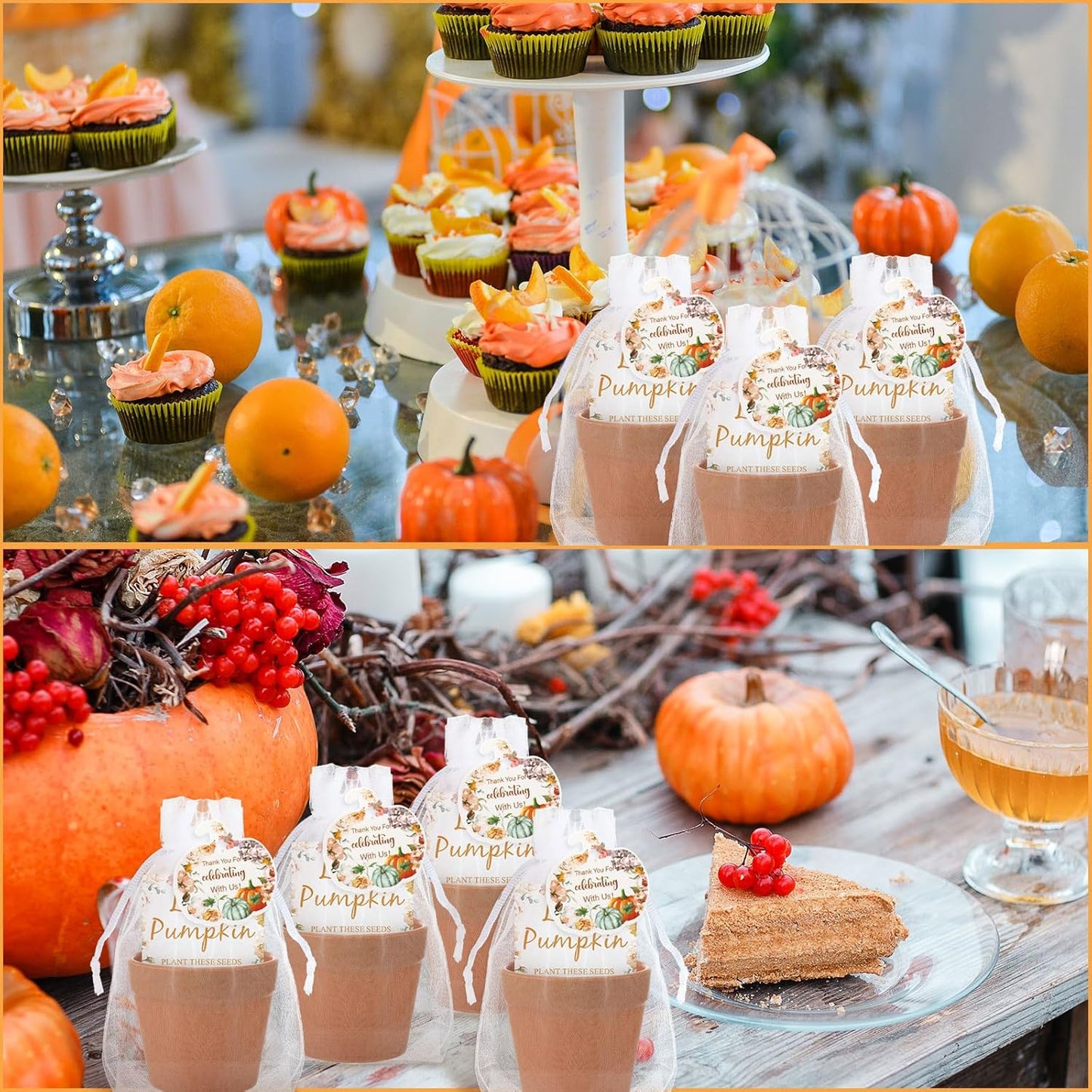 Ctosree 50 Sets Fall Baby Shower Seed Packet for Guests a Little Pumpkin is on The Way Gifts Include Self Adhesive Seed Packets Flowerpot Thank You Tags Organza Gift Bags for Baby Shower Party Favors