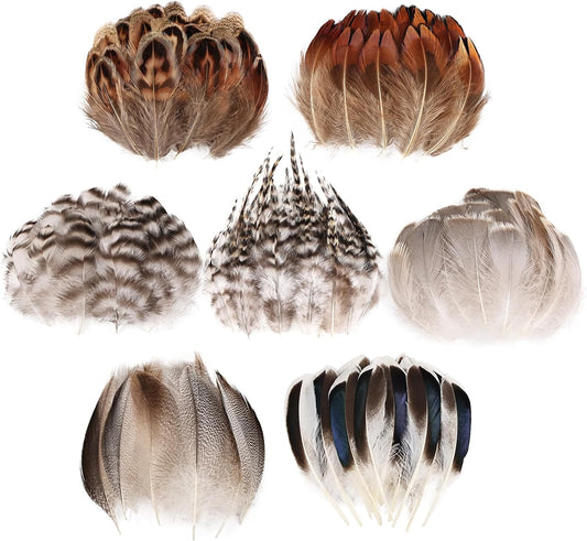 MAOFENG 210pcs 7 Styles Natural Bulk Feathers Assorted Mixed Feathers for DIY Crafts Dream Catcher Wedding Hair Hats Decoration,Guinea Fowl Feathers
