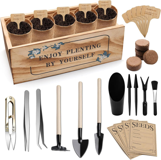 Bonsai Tree Starter Kit, Indoor Bonsai Tree Kit Meeting Planting and Caring Needs Curated Design for A Complete Gardening Experience for Enthusiasts