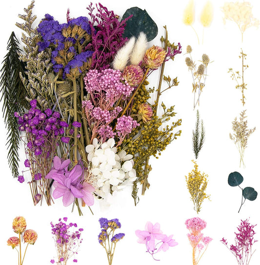 Vignee Real Dried Pressed Leaf Flowers-Multiple Colorful Pressed Flowers Daisies for Craft Resin Jewelry Making Art Craft DIY（Violet）