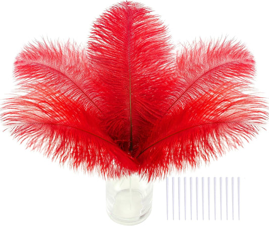 SOGUGOM Red Craft Ostrich Feathers - 30PCS 8-10 inch Ostrich Feathers Kit for Centerpieces, Kindergarten Crafts, Dream Catchers and DIY Projects(Red)