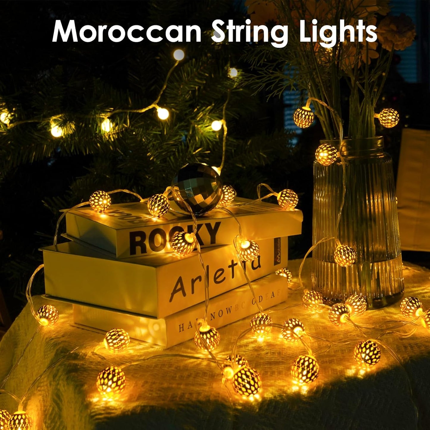 LORRYTE Moroccan String Lights Outdoor Battery Operated, 60 LED 36 FT Globe Fairy Lights with 8 Lighting Modes, String Lights for Bedroom Party Wedding Garden Christmas Decor (Warm White)