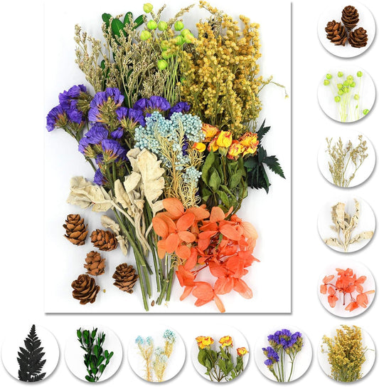 Vignee Real Dried Pressed Leaf Flowers-Multiple Colorful Pressed Flowers Daisies for Craft Resin Jewelry Making Art Craft DIY（Violet+Green）