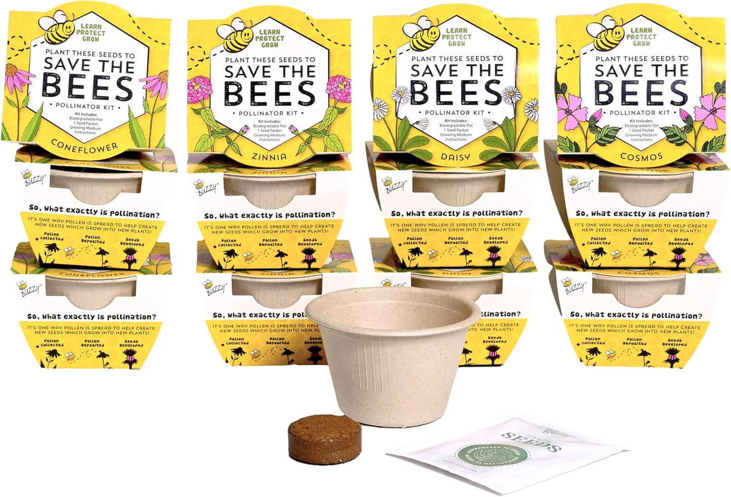 Buzzy Seeds Save The Bees Biodegradable Grow Kit | Herb, Plant, Flower Starter Kit for Kids & Adults | Assorted Wildflowers 12-Pack | Guaranteed to Grow | Best Indoor Grow Your Own Plant