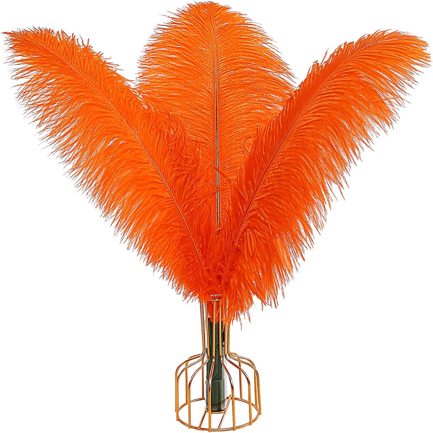 THARAHT Orange Ostrich Feathers 12pcs Large Natural Bulk 14-16Inch 35cm-40cm for Wedding Party Centerpieces Halloween and Home Decoration Feathers