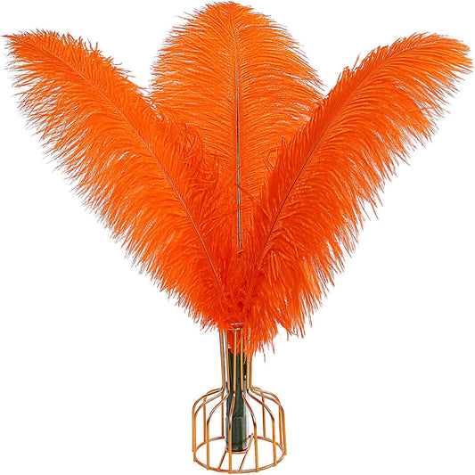 THARAHT Orange Ostrich Feathers 12pcs Large Natural Bulk 14-16Inch 35cm-40cm for Wedding Party Centerpieces Halloween and Home Decoration Feathers