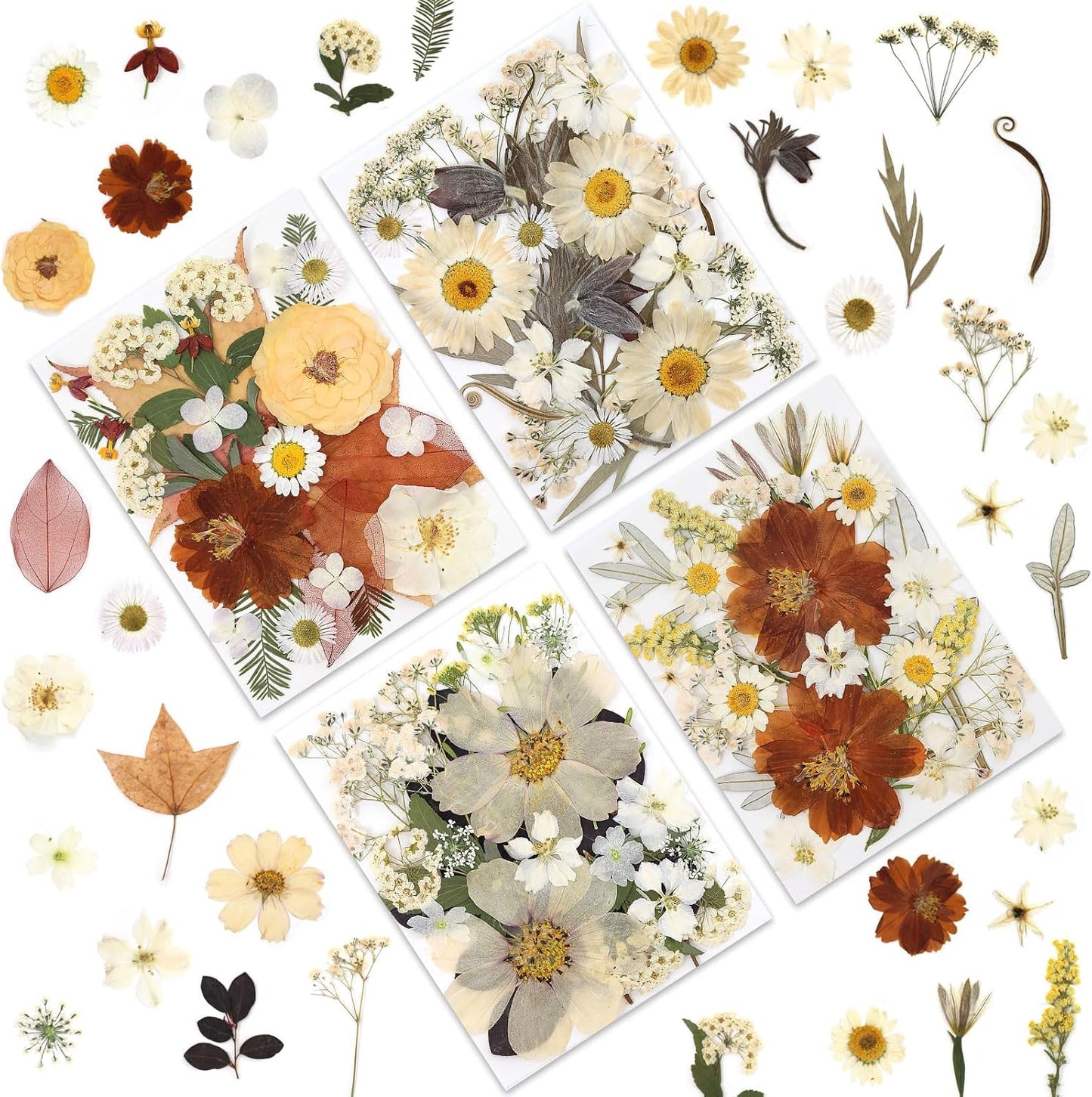 100P Vintage White Dried Flowers for Crafts, Real Natural Pressed Flowers in Retro White Tones for Resin Art, DIY Crafts, Jewelry & Candle Decor – Tweezers Included