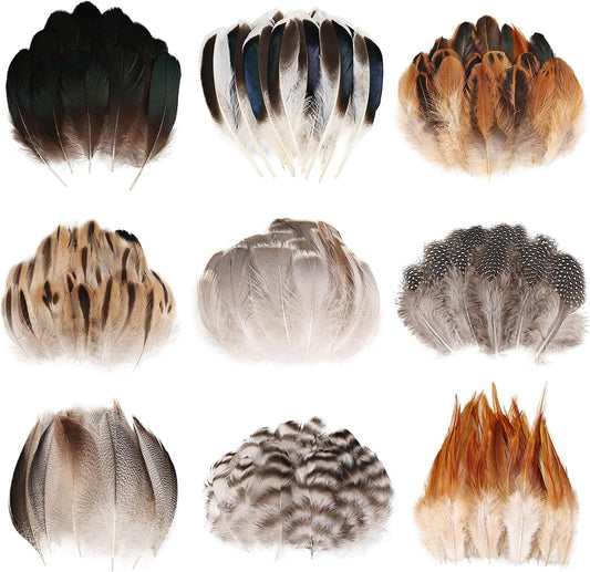 MAOFENG 270pcs 9 Styles Natural Bulk Feathers Assorted Mixed Feathers for DIY Crafts Dream Catcher Wedding Hair Hats Decoration, Guinea Fowl Feathers