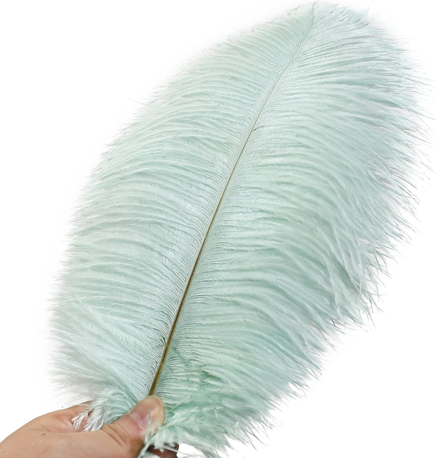 Ballinger Aqua Green Ostrich Feathers - 24pcs 10-12inch Craft Feathers Bulk for Wedding Party Centerpieces Mardi Gras Decorations and Home Decor