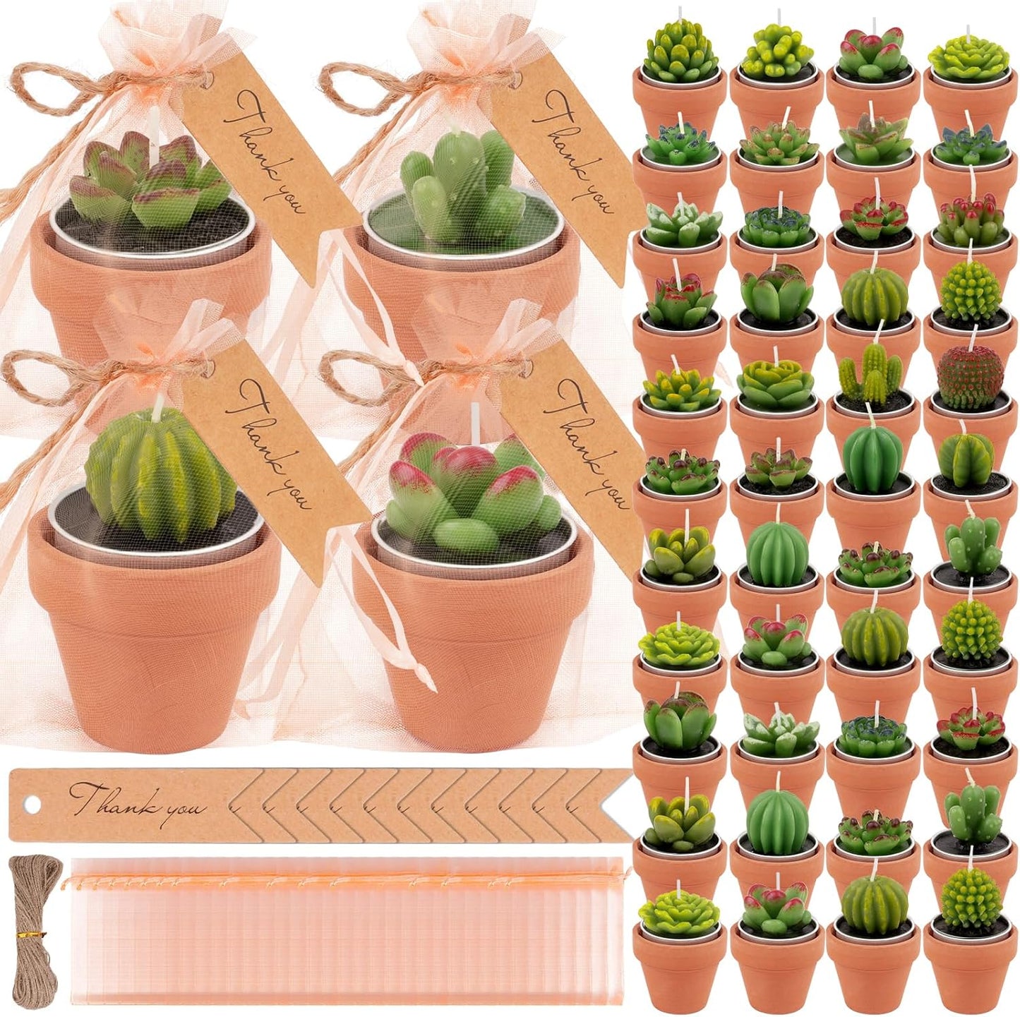 36 Pcs Succulent Cactus Candles Party Favors- Succulent Tealight Candles, Bulk Candle for Favors, Cactus Tea Light Candle with Mini Terracotta Clay Holders for Wedding Home Party Decor