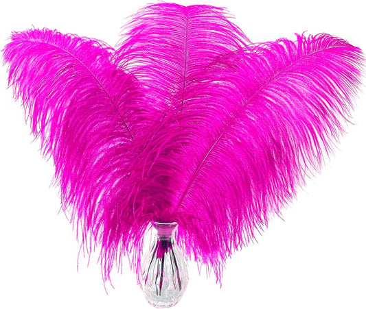 Fuchsia Large Ostrich Feathers Bulk- 16-18 inches 10pcs for Wedding Party Centerpieces,Flower Arrangement and Home Decorations (Fuchsia)