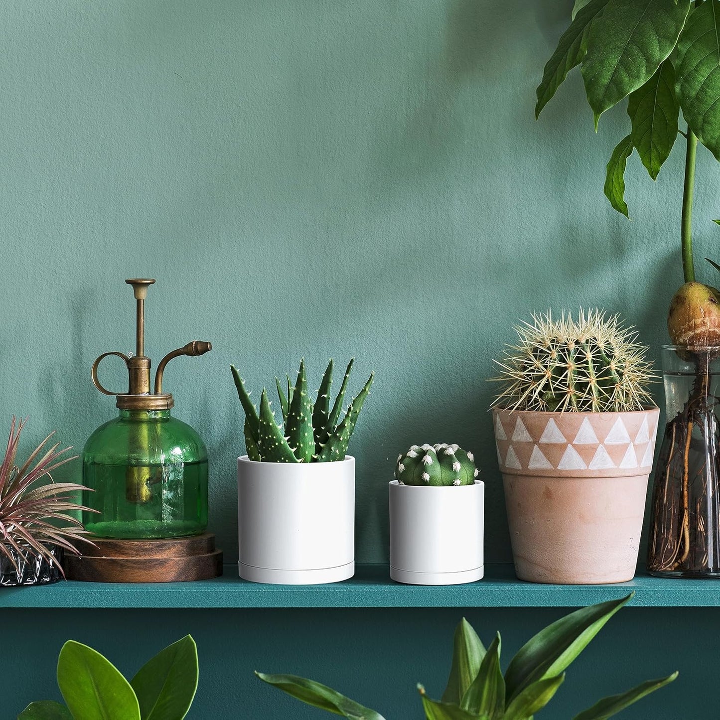 D'vine Dev 12 Pack 3.5 Inch Mini Plastic Plant Pots, Small Garden Planters for Plant with Drainage Holes and Saucers, White Color, 74-Z-D-4