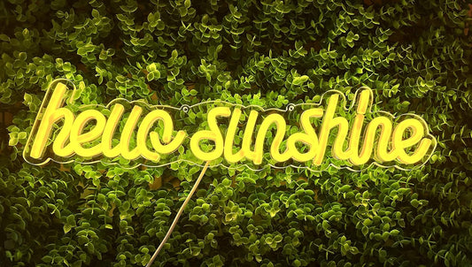 LED Neon Sign Night Light for Wall Party Décor Bedroom Room Bar Wedding Home Birthday Art Decoration Christmas with USB Chain Light modulator 5v (lets party blue)