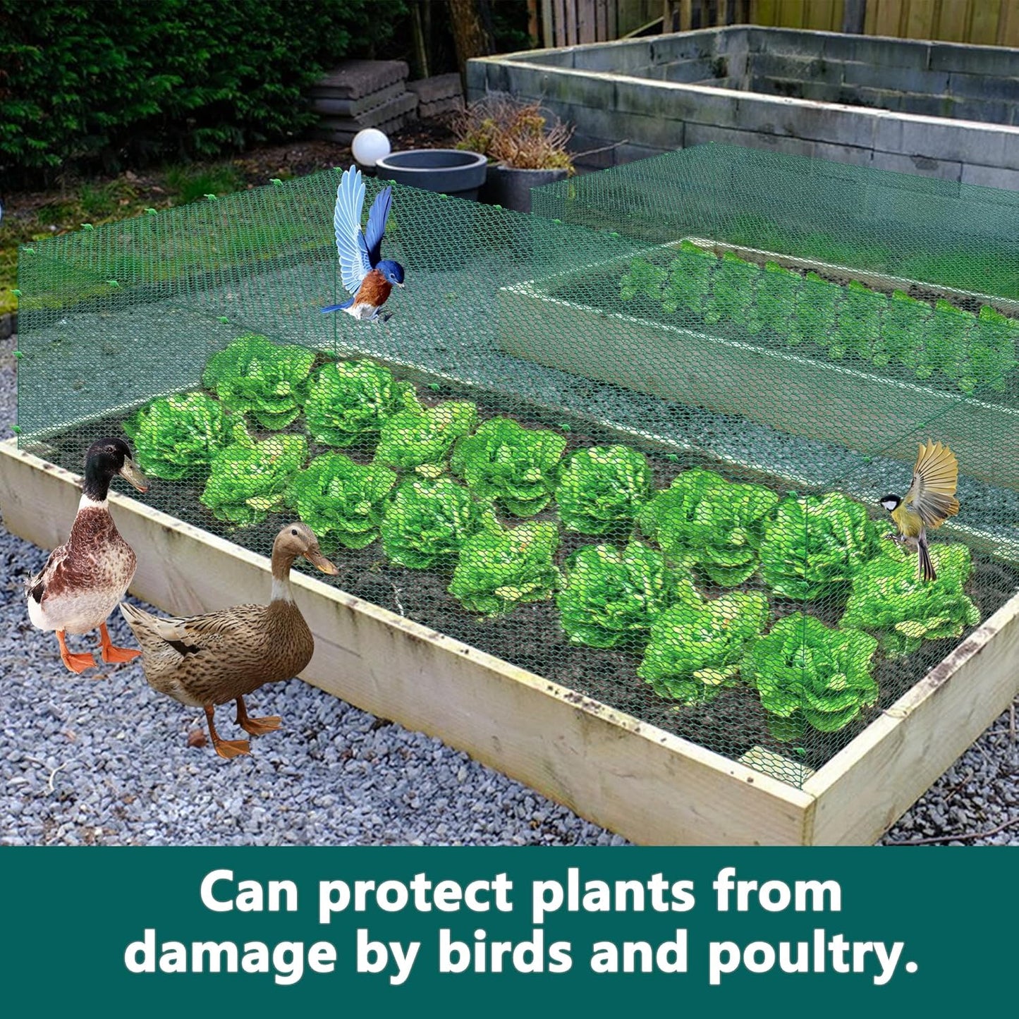 49.2Ft x16In Plant Protectors from Animals - Wire Plant Protector Cages for Outdoor Plants, Free-Cut Metal Mesh Plant Covers Guards Fence, Chicken Wire Cloche with Ground Stakes,Zip Ties